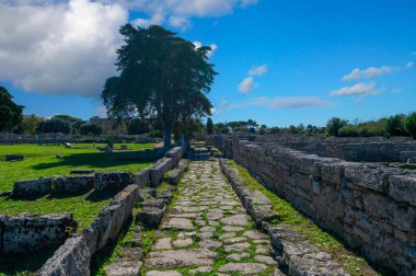 İtalya 'nın Paestum Arkeoloji Parkı' ndaki antik Yunan harabeleri ve taş sütunlar