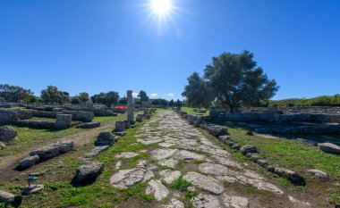 İtalya 'nın Paestum Arkeoloji Parkı' ndaki antik Yunan harabeleri ve taş sütunlar