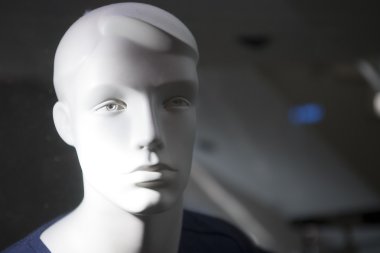 moda mankeni görüntüleme