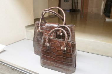 fashiom çanta görüntüleme