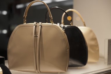 fashiom çanta görüntüleme