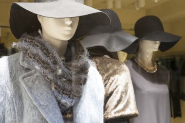 moda mankeni görüntüleme