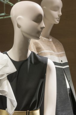 moda mankeni perakende ekran