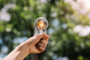 Yeşil arka planda el ele tutuşan ampul. Güneş enerjisi fikri doğada var.