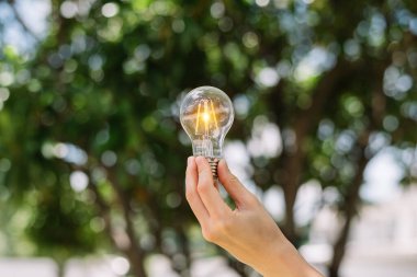 Yeşil arka planda el ele tutuşan ampul. Güneş enerjisi fikri doğada var.