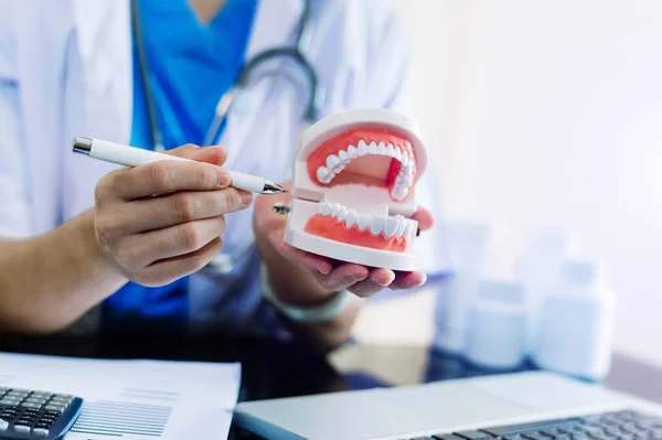 Dentiste Concentré Assis Table Avec Des Échantillons Mâchoires Modèle Dent — Photo