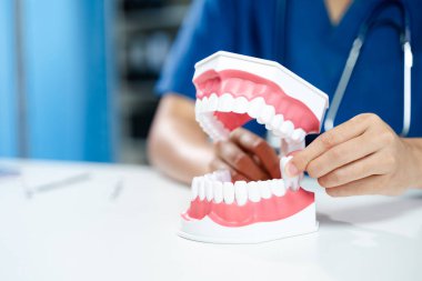 Diş hekimi, çene modelinde çıkarılabilir diş tutuyor. Diş çekilmesi ya da implantı gösteriyor. Oral sağlık eğitimi, diş hekimliği görselleri ve sağlık hizmetleri içeriği için ideal