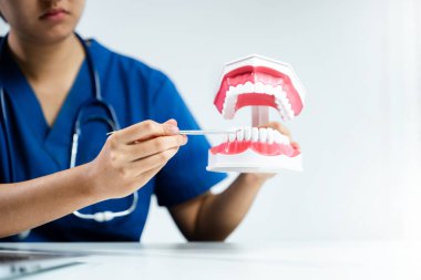 Bir çene modelinde ağız hijyenini göstermek için diş aletlerini kullanan bir sağlık uzmanı. Diş bakımı, eğitim, sağlık ve anatomiyle ilgili kavramlar için harika.