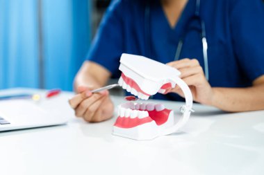 Bir çene modelinde ağız hijyenini göstermek için diş aletlerini kullanan bir sağlık uzmanı. Diş bakımı, eğitim, sağlık ve anatomiyle ilgili kavramlar için harika.