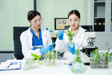 Laboratuvar önlüklü gıda bilimcileri, numuneleri test ediyorlar ve modern bir laboratuvar ortamında gıda güvenliğini ve kalitesini analiz ediyorlar..