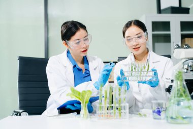 Laboratuvar önlüklü gıda bilimcileri, numuneleri test ediyorlar ve modern bir laboratuvar ortamında gıda güvenliğini ve kalitesini analiz ediyorlar..