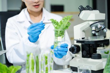 Laboratuvar önlüklü gıda bilimcileri, numuneleri test ediyorlar ve modern bir laboratuvar ortamında gıda güvenliğini ve kalitesini analiz ediyorlar..