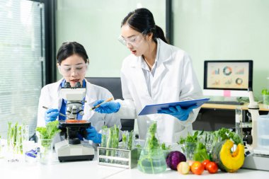 İki Asyalı bilim adamı labaratuvar şişesinde marul inceliyor. Gerçek insanlar, gıda güvenliği, organik bitki testleri, bilimsel araştırmalar ve temiz laboratuvar denetleme kavramı..