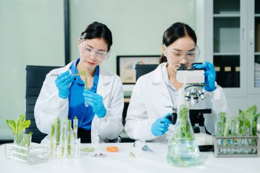 Bir laboratuarda araştırma yapan kadın bilim adamları, bitki örnekleri üzerinde deneyler yapıyorlar, çevre dostu ve sürdürülebilir bilimsel gelişmelere katkıda bulunuyorlar..