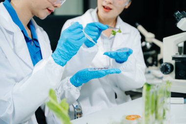 Laboratuvar önlüklü gıda bilimcileri, numuneleri test ediyorlar ve modern bir laboratuvarda gıda güvenliğini ve kalitesini analiz ediyorlar. 