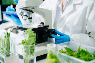 Biyologlar biyokimya laboratuvarında çalışan bitkilerle deney yapıyorlar.. 