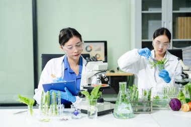 Laboratuvar bilimcileri olarak gıda bilimi, laboratuarda ileri teknoloji ve hassas ekipman kullanarak sebzeleri güvenlik ve kalite için test edip analiz ediyor.