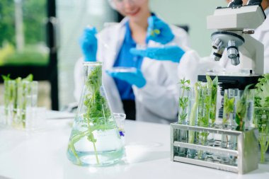 Laboratuvar önlüklü gıda bilimcileri, numuneleri test ediyorlar ve modern bir laboratuvarda gıda güvenliğini ve kalitesini analiz ediyorlar. 