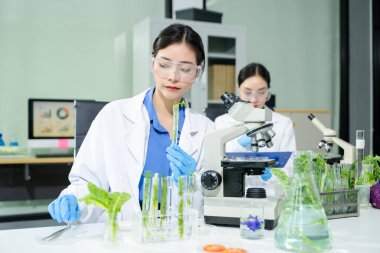 Laboratuvar bilimcileri olarak gıda bilimi, laboratuarda ileri teknoloji ve hassas ekipman kullanarak sebzeleri güvenlik ve kalite için test edip analiz ediyor.