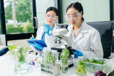 Laboratuvar önlüklü gıda bilimcileri, numuneleri test ediyorlar ve modern bir laboratuvar ortamında gıda güvenliğini ve kalitesini analiz ediyorlar..