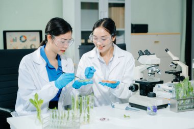 Laboratuvar bilimcileri olarak gıda bilimi, laboratuarda ileri teknoloji ve hassas ekipman kullanarak sebzeleri güvenlik ve kalite için test edip analiz ediyor.