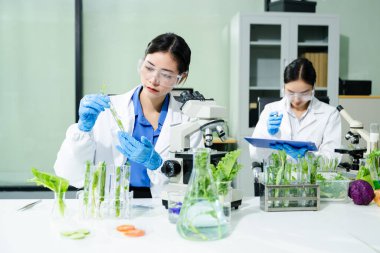 Laboratuvar bilimcileri olarak gıda bilimi, laboratuarda ileri teknoloji ve hassas ekipman kullanarak sebzeleri güvenlik ve kalite için test edip analiz ediyor.