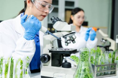 Laboratuvar bilimcileri olarak gıda bilimi, laboratuarda ileri teknoloji ve hassas ekipman kullanarak sebzeleri güvenlik ve kalite için test edip analiz ediyor.