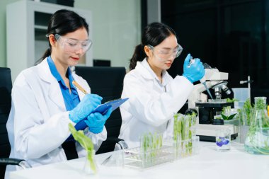 Biyologlar biyokimya laboratuvarında çalışan bitkilerle deney yapıyorlar.. 