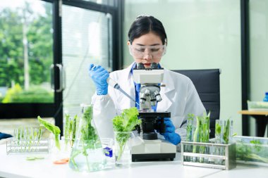 Laboratuvar önlüklü gıda bilimcileri, numuneleri test ediyorlar ve modern bir laboratuvar ortamında gıda güvenliğini ve kalitesini analiz ediyorlar..