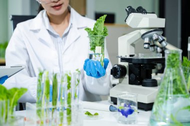 Laboratuvar önlüklü gıda bilimcileri, numuneleri test ediyorlar ve modern bir laboratuvar ortamında gıda güvenliğini ve kalitesini analiz ediyorlar..