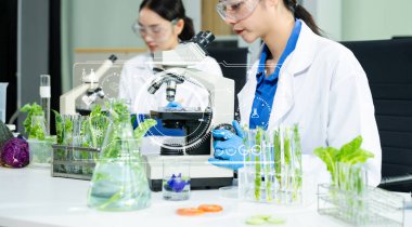 Laboratuvar önlüklü gıda bilimcileri, numuneleri test ediyorlar ve modern bir laboratuvar ortamında gıda güvenliğini ve kalitesini analiz ediyorlar..