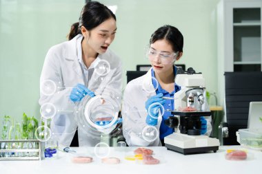 Laboratuvar önlüklü kadın bilim adamları çiğ et örneklerini cımbızla test ediyorlar. Temiz bir laboratuvar ortamında gıda güvenliği, bilim araştırması, bakteri denetimi ve takım çalışması.