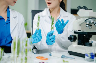 Laboratuvar önlüklü gıda bilimcileri, numuneleri test ediyorlar ve modern bir laboratuvarda gıda güvenliğini ve kalitesini analiz ediyorlar. 