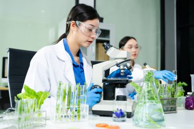 Laboratuvar önlüklü gıda bilimcileri, numuneleri test ediyorlar ve modern bir laboratuvar ortamında gıda güvenliğini ve kalitesini analiz ediyorlar..