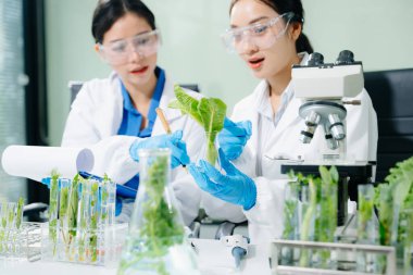 Laboratuvar önlüklü gıda bilimcileri, numuneleri test ediyorlar ve modern bir laboratuvar ortamında gıda güvenliğini ve kalitesini analiz ediyorlar..