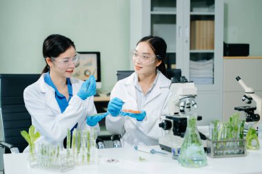 Laboratuvar bilimcileri olarak gıda bilimi, laboratuarda ileri teknoloji ve hassas ekipman kullanarak sebzeleri güvenlik ve kalite için test edip analiz ediyor.