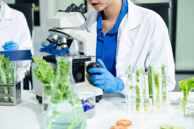 Laboratuvar önlüklü gıda bilimcileri, numuneleri test ediyorlar ve modern bir laboratuvar ortamında gıda güvenliğini ve kalitesini analiz ediyorlar..