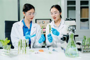 Bir laboratuarda araştırma yapan kadın bilim adamları, bitki örnekleri üzerinde deneyler yapıyorlar, çevre dostu ve sürdürülebilir bilimsel gelişmelere katkıda bulunuyorlar..