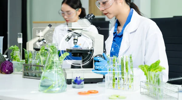 Laboratuvar önlüklü gıda bilimcileri, numuneleri test ediyorlar ve modern bir laboratuvar ortamında gıda güvenliğini ve kalitesini analiz ediyorlar..