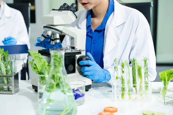 Laboratuvar önlüklü gıda bilimcileri, numuneleri test ediyorlar ve modern bir laboratuvar ortamında gıda güvenliğini ve kalitesini analiz ediyorlar..