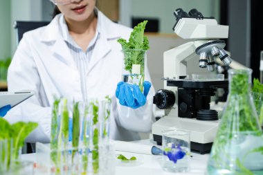 Laboratuvar önlüklü gıda bilimcileri, numuneleri test ediyorlar ve modern bir laboratuvar ortamında gıda güvenliğini ve kalitesini analiz ediyorlar..