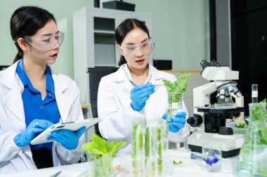 Laboratuvar önlüklü gıda bilimcileri, numuneleri test ediyorlar ve modern bir laboratuvar ortamında gıda güvenliğini ve kalitesini analiz ediyorlar..