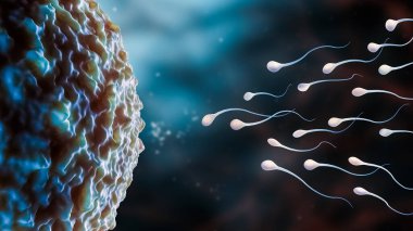 Bir grup sperm hücresi ya da gamet, mikroskobik 3 boyutlu görüntüleme yapmak için yumurtaya girmeye çalışıyor. Biyolojik üreme, biyoloji, mikrobiyoloji, yaşam, döllenme, bilim kavramları.