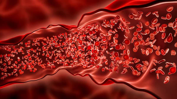 動脈や静脈の3Dレンダリングイラストを流れる血 血管内の赤血球や赤血球の流れ 循環器系 生物学 解剖学的概念 — ストック写真