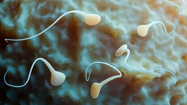 Primo Piano Gruppo Spermatozoi Ovuli Gameti Illustrazione Rendering Riproduzione Biologica — Foto Stock