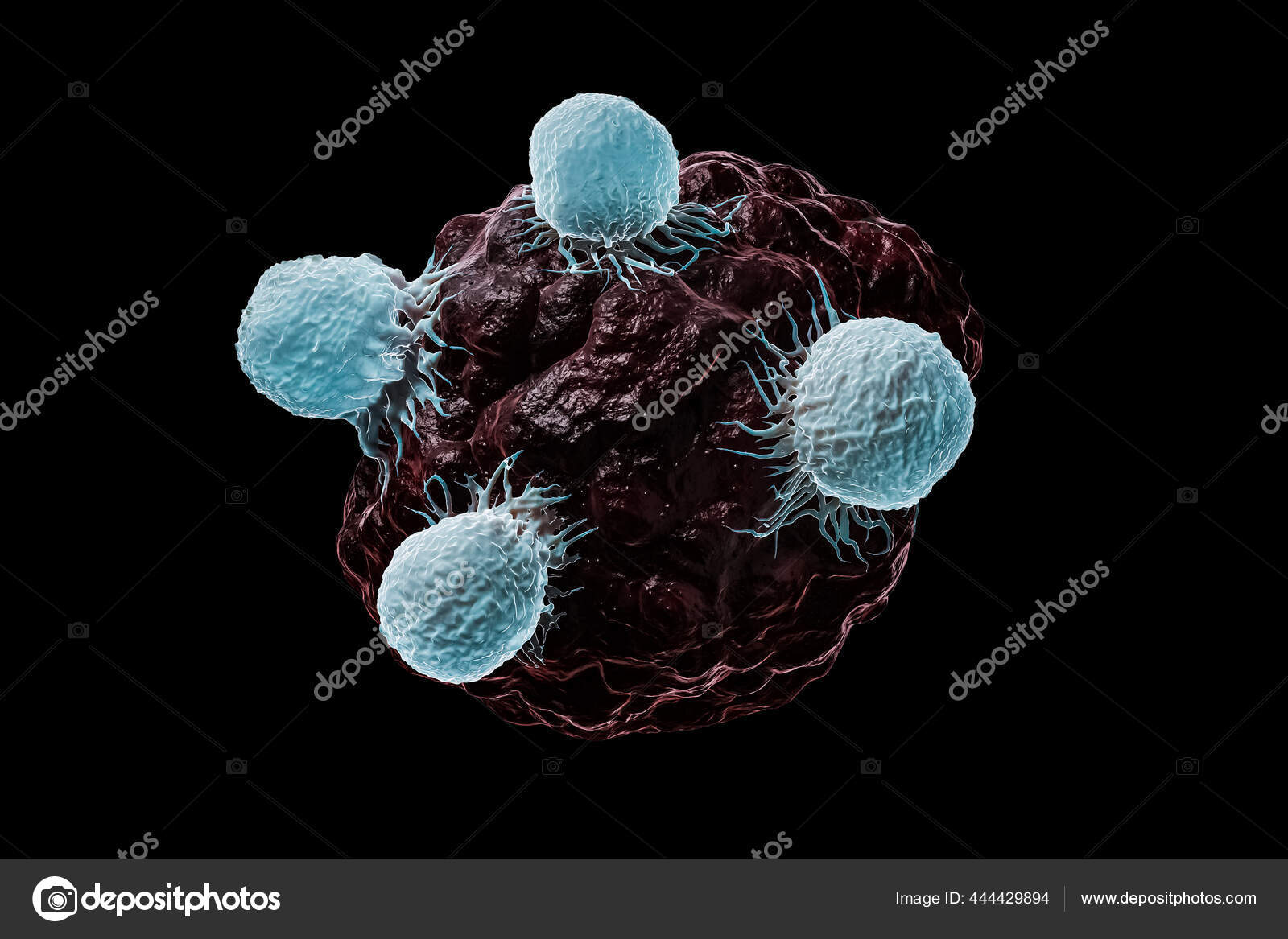 Os tipos de assassinos.  Download Scientific Diagram