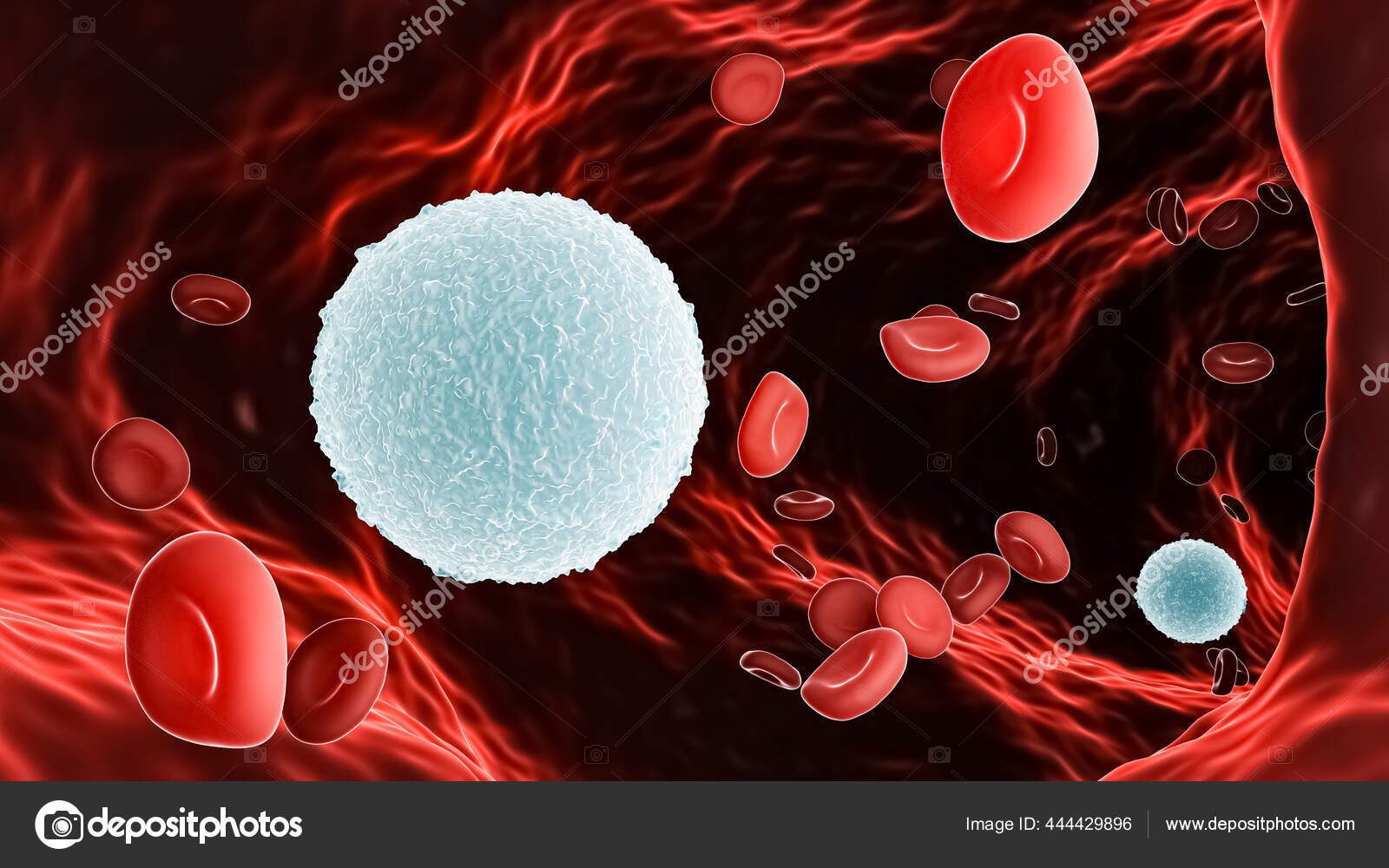 Эритроциты под микроскопом. Лейкоцит и эритроцит клетки. Лимфоциты лейкоциты эритроциты. Эритроциты тромбоциты лейко. Форменные элементы крови эритроциты лейкоциты тромбоциты.