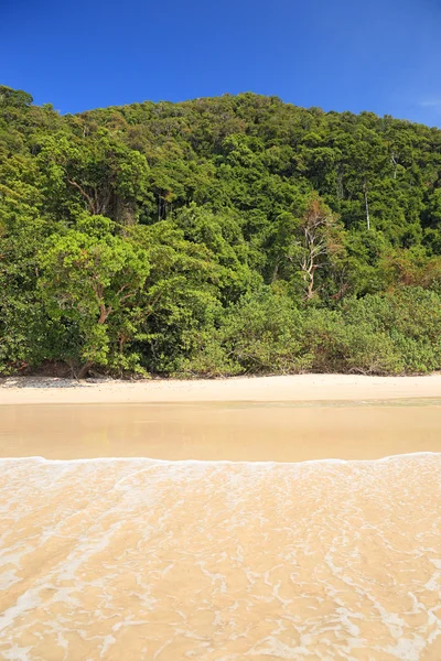 Jungle beach — Stock Photo, Image