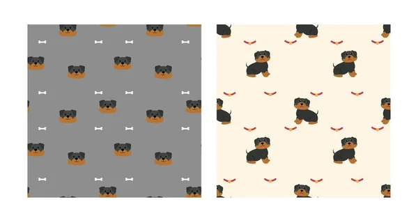 Set Character Seamless Pattern Animal Cute Rottweiler Dog Puede Utilizar — Vector de stock
