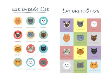 Şirin Kedi Yetiştirme Listesi Çizgi Film Hayvanı Resimleri Arkaplan ya da Duvar Kağıdı Grubu